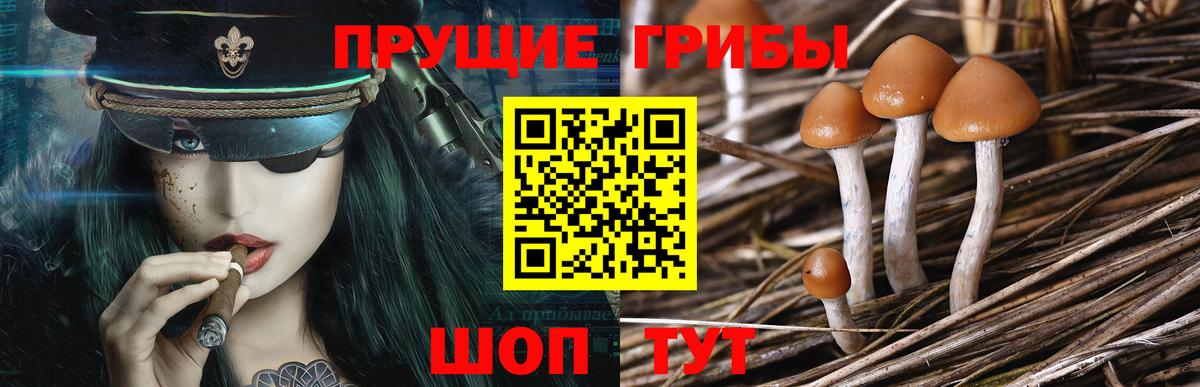 Псилоцибиновые грибы MAGIC MUSHROOMS Казань