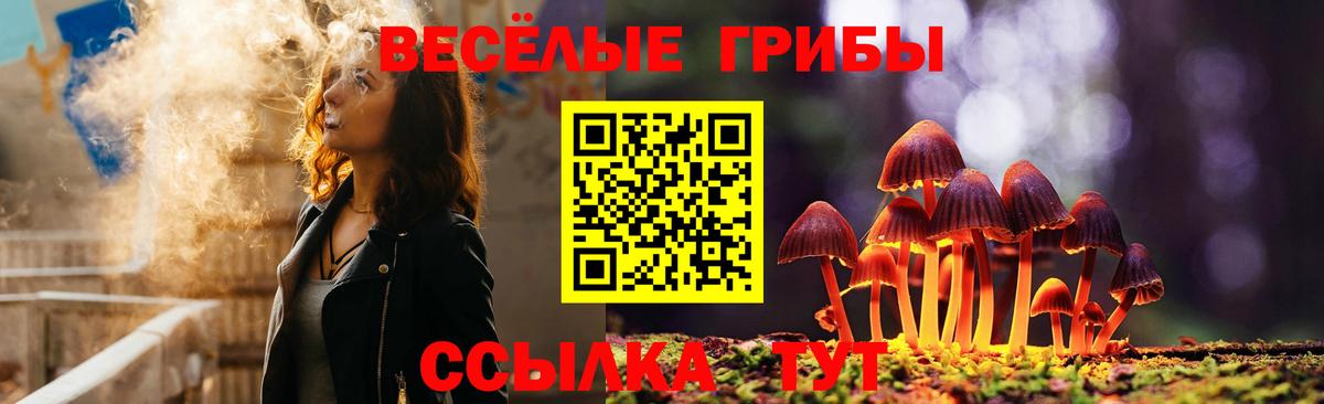 купить  цена  Галлюциногенные грибы мухоморы  Вход с VPN  Казань 