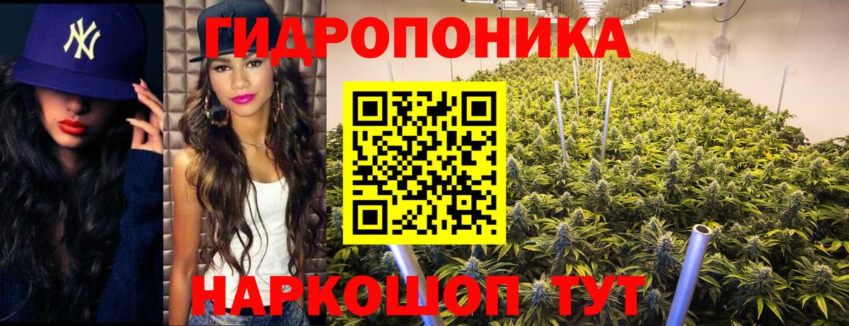 Казань  Шишки марихуана конопля  Канабис гибрид  Вход с VPN  Конопля семена 